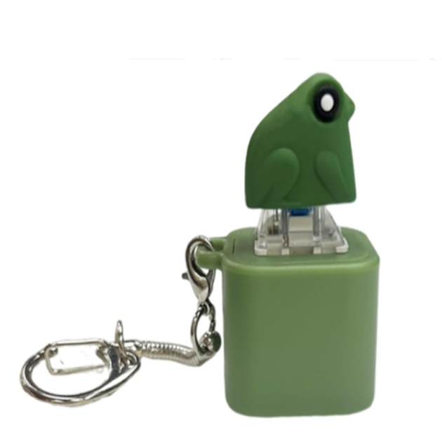 Electronic Sensory Keychain | Frog Design | with Sound & LED Light | Impulse & Stress Relief Toy